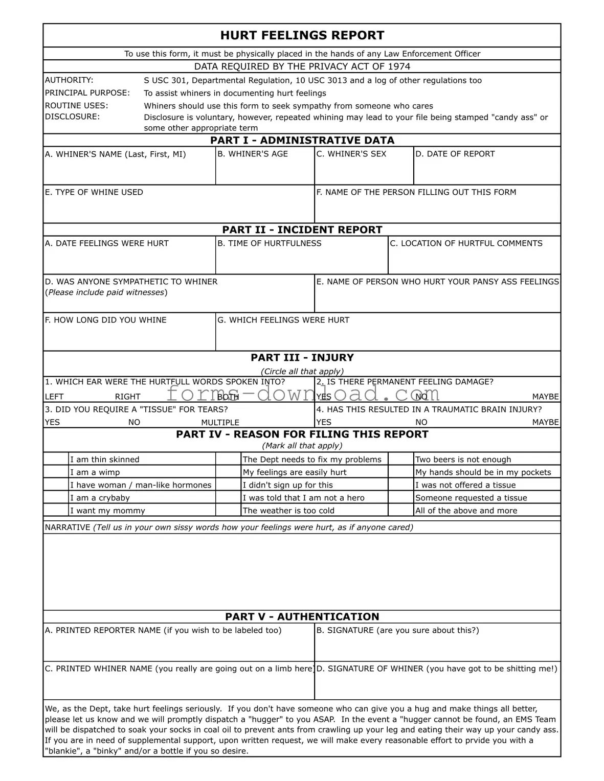Blank Hurt Feelings Report Form