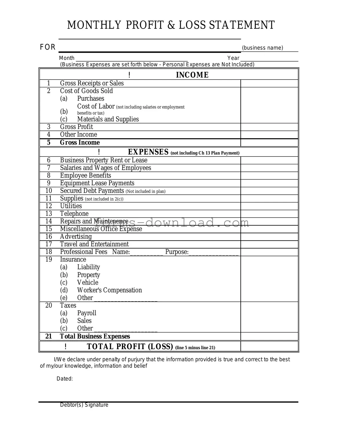 Blank Profit And Loss Form