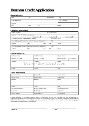 Blank Business Credit Application Form