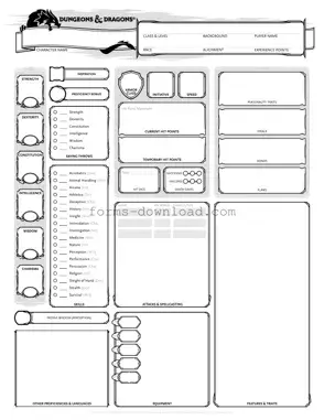 Blank Dnd Character Sheet Form