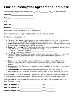 Attorney-Approved Prenuptial Agreement Document for the State of Florida