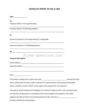 Blank Intent To Lien Florida Form